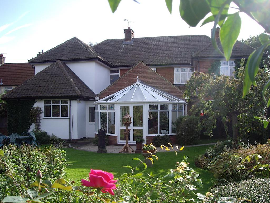 גרייט דנמאו Harwood House B&B מראה חיצוני תמונה
